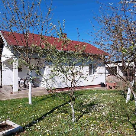 Apartman Dijelovi Bijeljina Dış mekan fotoğraf